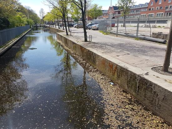 Kademuren en walstoepjes, Leiden